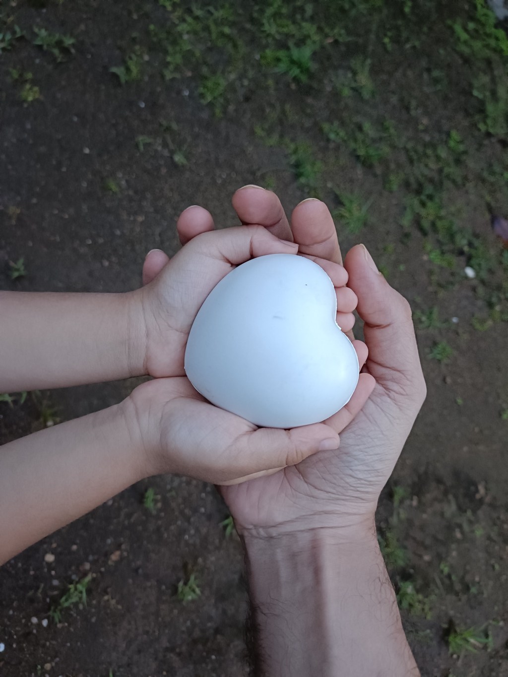 What I Cannot&nbsp;Hold